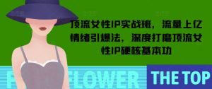 顶流女性IP实战班,流量上亿情绪引爆法,深度打磨顶流女性IP硬核基本功-如意资源库