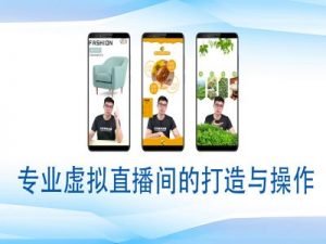 个人虚拟直播间的搭建与操作，专业虚拟直播间的打造与操作-如意资源库