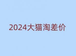 2024版大猫淘差价课程,新手也能学的无货源电商课程-如意资源库