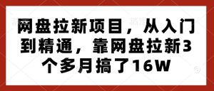 网盘拉新项目,从入门到精通,靠网盘拉新3个多月搞了16W-如意资源库