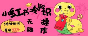 小红书冷知识账号，无脑复制粘贴，5分钟即可变现3张-如意资源库