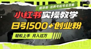 2月小红书最新日引500+创业粉实操教学【超详细】小白轻松上手,月入1W+,附小红书养号起号SOP-如意资源库