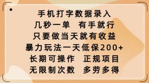 手机打字数据录入,几秒一单,有手就行,只要做当天就有收益,暴力玩法一天低保2张-如意资源库