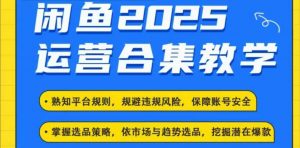 2025闲鱼电商运营全集,2025最新咸鱼玩法-如意资源库