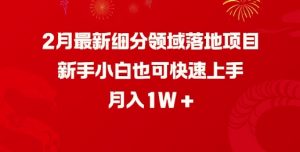 2月最新细分领域落地项目，新手小白也可快速上手，月入1W-如意资源库