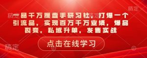 一品千万操盘手研习社,打爆一个引流品,实现百万千万业绩,爆品裂变,私域升单,发售实战-如意资源库