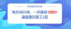 副业她只用了1招,每天30分钟,无脑二创,一天最高1.5k-如意资源库