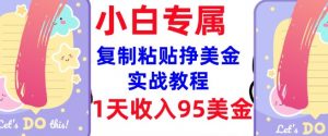 复制粘贴挣美金，0门槛，1天收入95美刀，3分钟学会，内部教程(首次公开)-如意资源库