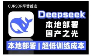 2025年deepseek R1 大型模型本地安装部署(文件+教程)本地部署，超低训练成本-如意资源库