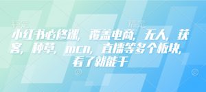 小红书必修课,覆盖电商,无人,获客,种草,mcn,直播等多个板块,看了就能干-如意资源库