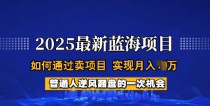 2025蓝海项目,普通人如何通过卖项目,实现月入过W,全过程【揭秘】-如意资源库