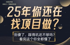 25年,你还在疯狂的找项目吗?别傻了,看完这个你都懂了【揭秘】-如意资源库