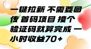 一键拉新 不需要回传 首码项目 接个验证码就算完成 一小时收益70+【揭秘】-如意资源库