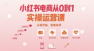 小红书电商从0到1实操运营课,从零开始,简单易学-如意资源库