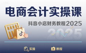 电商会计实操课-抖音小店财务教程2025-如意资源库