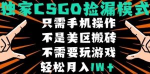 CSGO自动捡漏项目,最新独家玩法,不是美区搬砖,不需要了解和玩游戏,新手小白轻松月入1W+【揭秘】-如意资源库