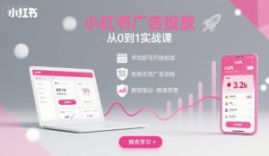 小红书广告投放从0到1的实战课,学完即可开始投放,拒绝无效广告消耗-如意资源库