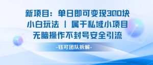 新项目单日即可变现3张的小白玩法无脑操作不封号安全引流-如意资源库