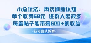 小众玩法再次刷新认知单个收费68米进群人数很多每篇帖子能带来6张的收益-如意资源库