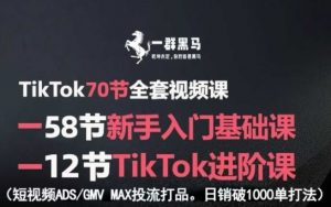 TikTok全套视频课,新手入门+进阶课,短视频ADS-GMV MAX投流打品,日销破1000单打法-如意资源库