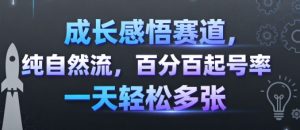 成长感悟赛道，纯自然流，百分百起号率 一天轻松多张-如意资源库