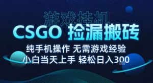 8月最新游戏搬砖,CSGO纯挂G,不需要玩游戏,实现真挂G,月入1W+【揭秘】-如意资源库