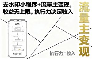 去水印小程序+流量主变现,收益无上限,执行力决定收入-如意资源库