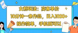 女粉玩法：高客单价，10分钟一条作品，日入1k+操作简单，手机就可以-如意资源库