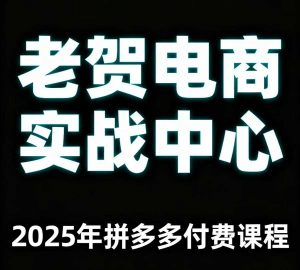 老贺电商2025年拼多多付费课程，用通俗易懂的方法告诉你多多怎么玩-如意资源库