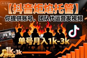 【抖音炬焰托管】你提供账号，团队代运营发视频，单号月入1k+【揭秘】-如意资源库
