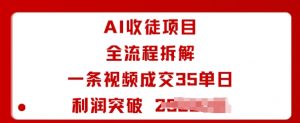 AI收徒项目全流程拆解一条视频成交35单日利润突破1k+-如意资源库