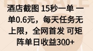 酒店截图15秒一单,一单0.6米,每天任务无上限,全网首发可矩阵单日收益3张【揭秘】-如意资源库