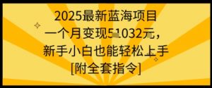 2025最新蓝海项目一个月变现1w+新手小白也能轻松上手【附全套指令】-如意资源库