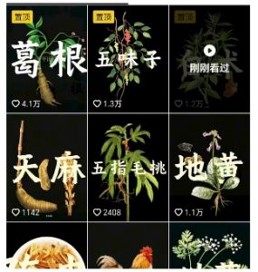 抖音中草药赛道,用AI做中草药故事视频,45条作品涨粉13W,橱窗带货猛猛出单-如意资源库