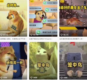 狗头幸运星UE5动画全套课程，从入门到实操全掌握-如意资源库