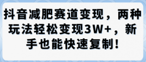 抖音减肥赛道变现,两种玩法轻松变现3W+,新手也能快速复制-如意资源库