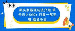 微头条最强玩法介绍一个号日入5张+只要一部手机适合小白-如意资源库