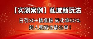 【实测案例】私域新玩法，日引30+精准粉，转化率50%，新人照做也能出单！-如意资源库