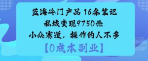 蓝海冷门产品:16条笔记私域变现9750米小众赛道,操作的人不多-如意资源库