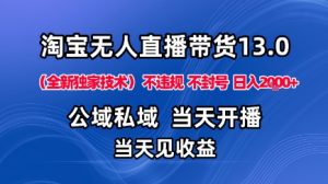 淘宝无人直播13.0，公域私域技术，不封号，不违规布局下半年旺季赛道，日入1K+（独家技术）【揭秘】-如意资源库