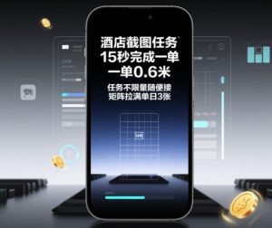 酒店截图任务，15秒完成一单，一单0.6米，任务不限量随便接，矩阵拉满单日3张【揭秘】-如意资源库