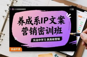 养成系IP文案营销密训班,实战中学习真高级营销-如意资源库