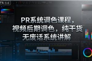 PR系统调色课程，视频后期调色，纯干货无废话系统讲解-如意资源库