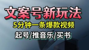 文案号新玩法，5分钟一条爆款视频，流量高，起号快，多方位变现-如意资源库