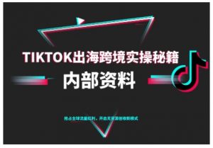 TikTok跨境电商0-1搭建运营,TK出海跨境实操秘籍(10月更新)-如意资源库