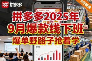 拼多多2025年9月爆款线下班，爆单野路子抢着学-如意资源库