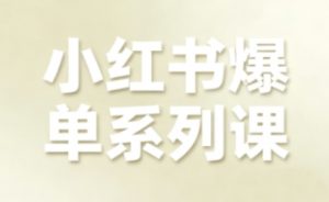 小红书爆单系列课，聚焦小红书电商全链路增长-如意资源库