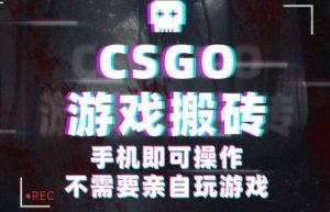 CSGO游戏挂G捡漏,单日扫货5张+,年底小高峰上车可吃肉,手机即可操作,兼职副业创业网创【揭秘】-如意资源库