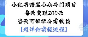 小红书暗黑小众冷门项目每天变现2张当天可能就会有收益-如意资源库