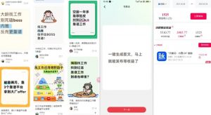 毕业生求职项目拆解_脉脉拉新空白市场，蓝海开局-如意资源库